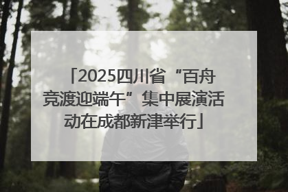 2025四川省“百舟竞渡迎端午”集中展演活动在成都新津举行