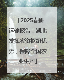 2025春耕运输报告：湖北发挥农资枢纽优势，保障全国农业生产