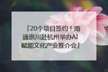 20个项目签约！南通崇川赴杭州举办AI赋能文化产业推介会