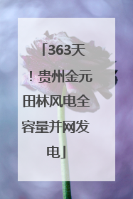 363天！贵州金元田林风电全容量并网发电
