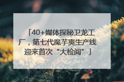 40+媒体探秘卫龙工厂，第七代魔芋爽生产线迎来首次“大检阅”