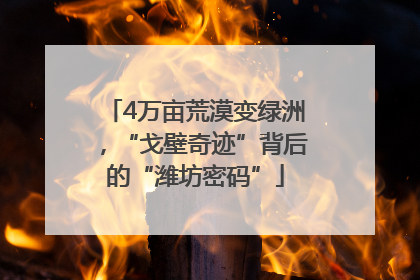 4万亩荒漠变绿洲，“戈壁奇迹”背后的“潍坊密码”