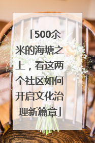 500余米的海塘之上，看这两个社区如何开启文化治理新篇章