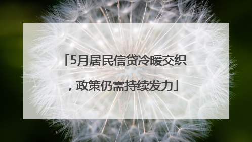 5月居民信贷冷暖交织，政策仍需持续发力