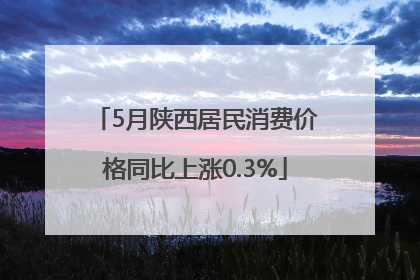5月陕西居民消费价格同比上涨0.3%