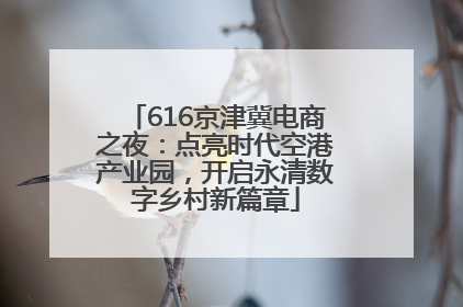 616京津冀电商之夜：点亮时代空港产业园，开启永清数字乡村新篇章