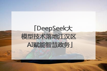 DeepSeek大模型技术落地江汉区 AI赋能智慧政务