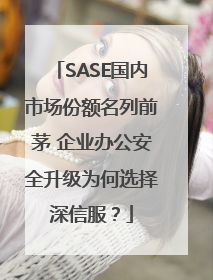 SASE国内市场份额名列前茅 企业办公安全升级为何选择深信服？